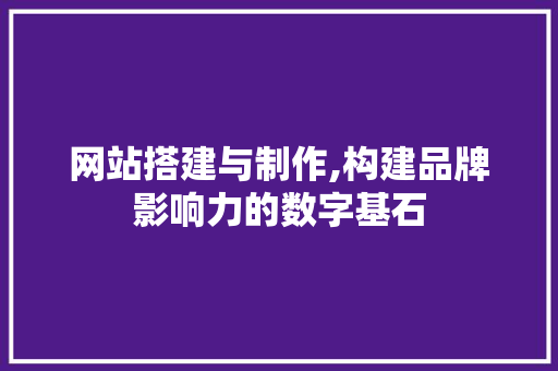 网站搭建与制作,构建品牌影响力的数字基石