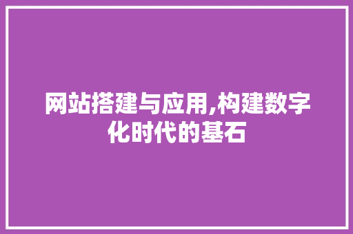 网站搭建与应用,构建数字化时代的基石