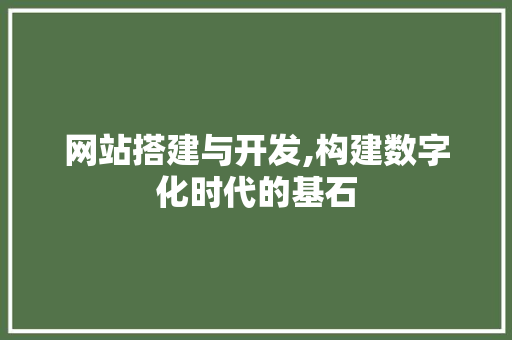 网站搭建与开发,构建数字化时代的基石