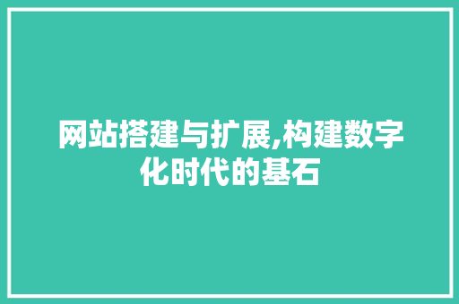 网站搭建与扩展,构建数字化时代的基石