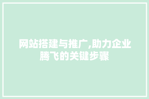网站搭建与推广,助力企业腾飞的关键步骤
