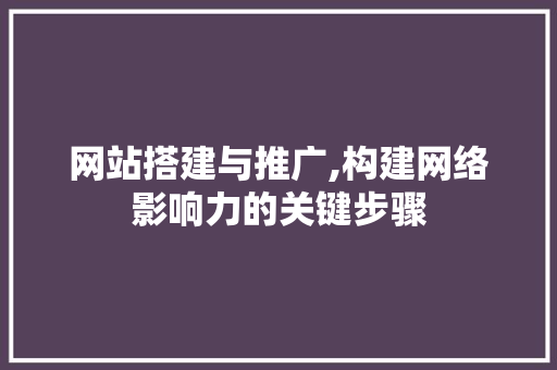 网站搭建与推广,构建网络影响力的关键步骤