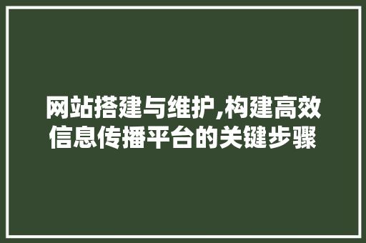 网站搭建与维护,构建高效信息传播平台的关键步骤