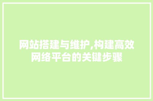 网站搭建与维护,构建高效网络平台的关键步骤 网站搭建与维护,构建高效网络平台的关键步骤 必应SEO