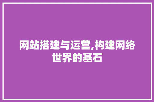 网站搭建与运营,构建网络世界的基石