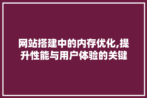 网站搭建中的内存优化,提升性能与用户体验的关键