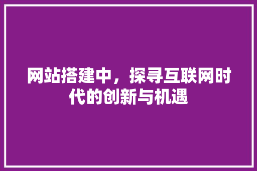 网站搭建中，探寻互联网时代的创新与机遇