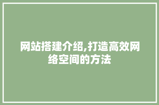 网站搭建介绍,打造高效网络空间的方法