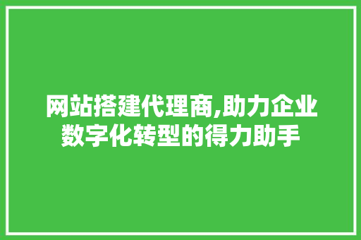 网站搭建代理商,助力企业数字化转型的得力助手