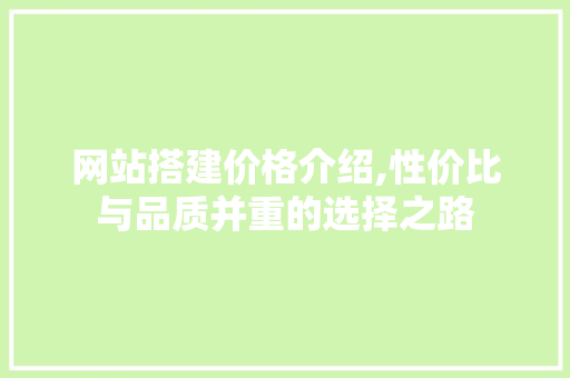 网站搭建价格介绍,性价比与品质并重的选择之路
