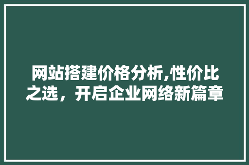 网站搭建价格分析,性价比之选，开启企业网络新篇章