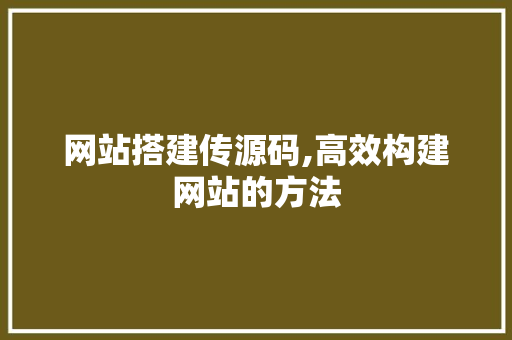 网站搭建传源码,高效构建网站的方法
