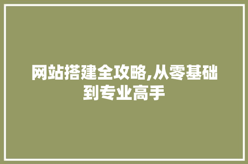 网站搭建全攻略,从零基础到专业高手