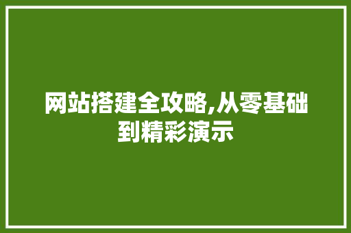 网站搭建全攻略,从零基础到精彩演示