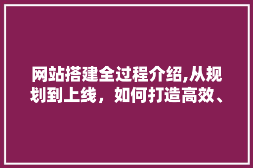 网站搭建全过程介绍,从规划到上线，如何打造高效、专业的网络平台