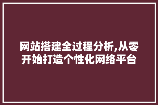 网站搭建全过程分析,从零开始打造个性化网络平台