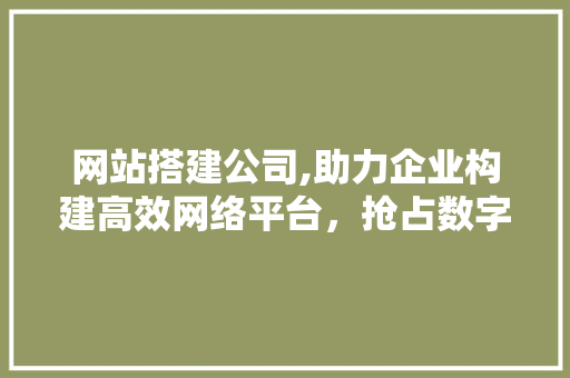 网站搭建公司,助力企业构建高效网络平台，抢占数字时代先机 网站搭建公司,助力企业构建高效网络平台，抢占数字时代先机 搜狗SEO