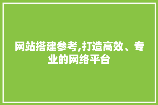 网站搭建参考,打造高效、专业的网络平台