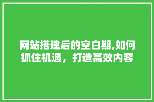 网站搭建后的空白期,如何抓住机遇，打造高效内容