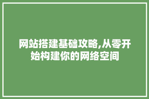 网站搭建基础攻略,从零开始构建你的网络空间 网站搭建基础攻略,从零开始构建你的网络空间 百度SEO