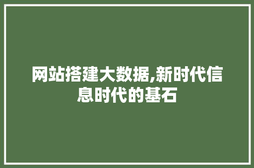 网站搭建大数据,新时代信息时代的基石 网站搭建大数据,新时代信息时代的基石 必应SEO