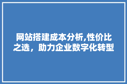 网站搭建成本分析,性价比之选，助力企业数字化转型