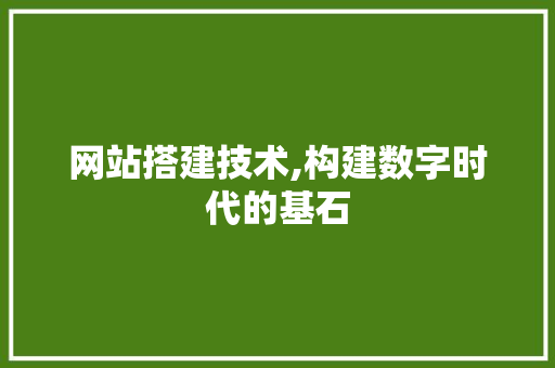 网站搭建技术,构建数字时代的基石