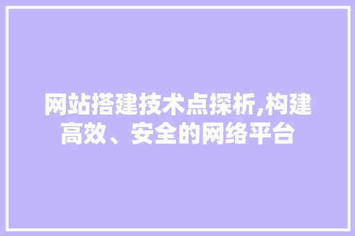 网站搭建技术点探析,构建高效、安全的网络平台