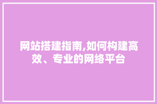 网站搭建指南,如何构建高效、专业的网络平台