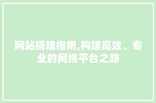 网站搭建指南,构建高效、专业的网络平台之路