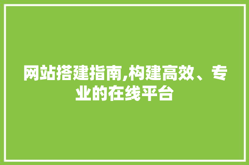 网站搭建指南,构建高效、专业的在线平台