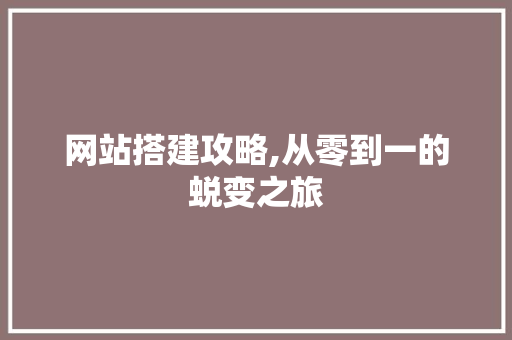 网站搭建攻略,从零到一的蜕变之旅