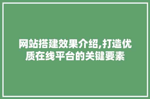 网站搭建效果介绍,打造优质在线平台的关键要素 网站搭建效果介绍,打造优质在线平台的关键要素 SEO关键词