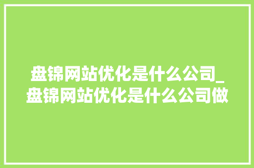 盘锦网站优化是什么公司_盘锦网站优化是什么公司做的。