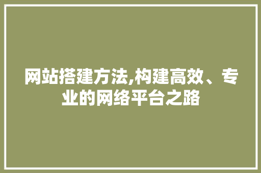 网站搭建方法,构建高效、专业的网络平台之路