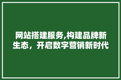 网站搭建服务,构建品牌新生态，开启数字营销新时代