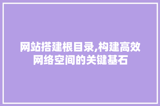 网站搭建根目录,构建高效网络空间的关键基石