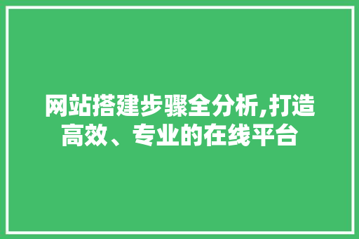 网站搭建步骤全分析,打造高效、专业的在线平台
