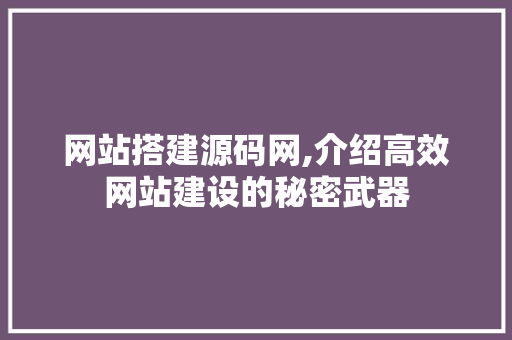 网站搭建源码网,介绍高效网站建设的秘密武器