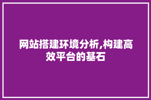 网站搭建环境分析,构建高效平台的基石