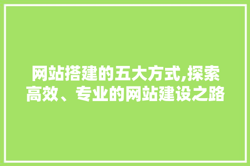 网站搭建的五大方式,探索高效、专业的网站建设之路
