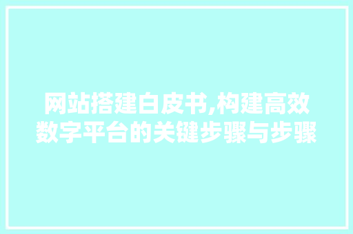 网站搭建白皮书,构建高效数字平台的关键步骤与步骤