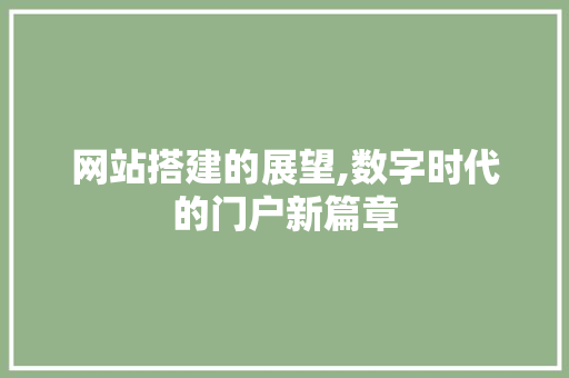 网站搭建的展望,数字时代的门户新篇章