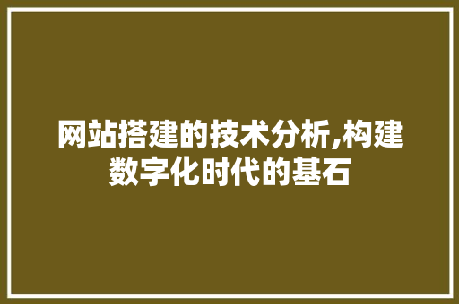 网站搭建的技术分析,构建数字化时代的基石