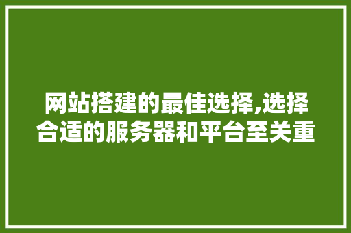 网站搭建的最佳选择,选择合适的服务器和平台至关重要