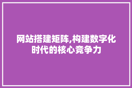 网站搭建矩阵,构建数字化时代的核心竞争力 网站搭建矩阵,构建数字化时代的核心竞争力 百度SEO