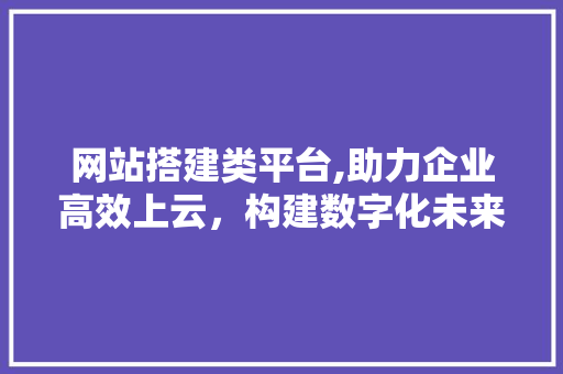 网站搭建类平台,助力企业高效上云，构建数字化未来 网站搭建类平台,助力企业高效上云，构建数字化未来 神马SEO