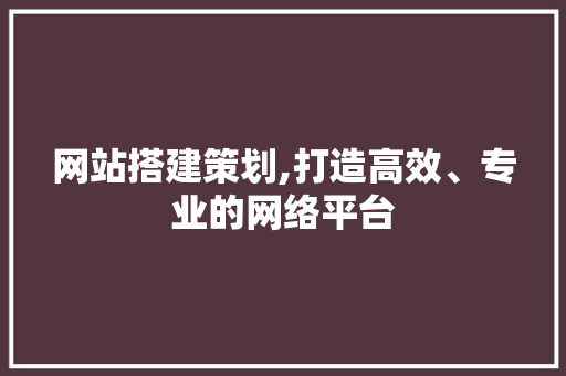 网站搭建策划,打造高效、专业的网络平台