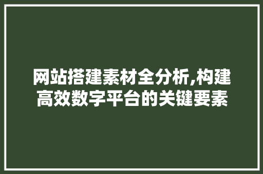 网站搭建素材全分析,构建高效数字平台的关键要素 网站搭建素材全分析,构建高效数字平台的关键要素 必应SEO