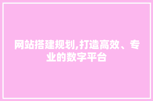 网站搭建规划,打造高效、专业的数字平台